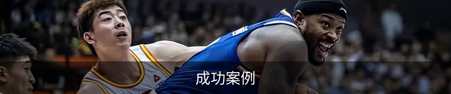 成功案例